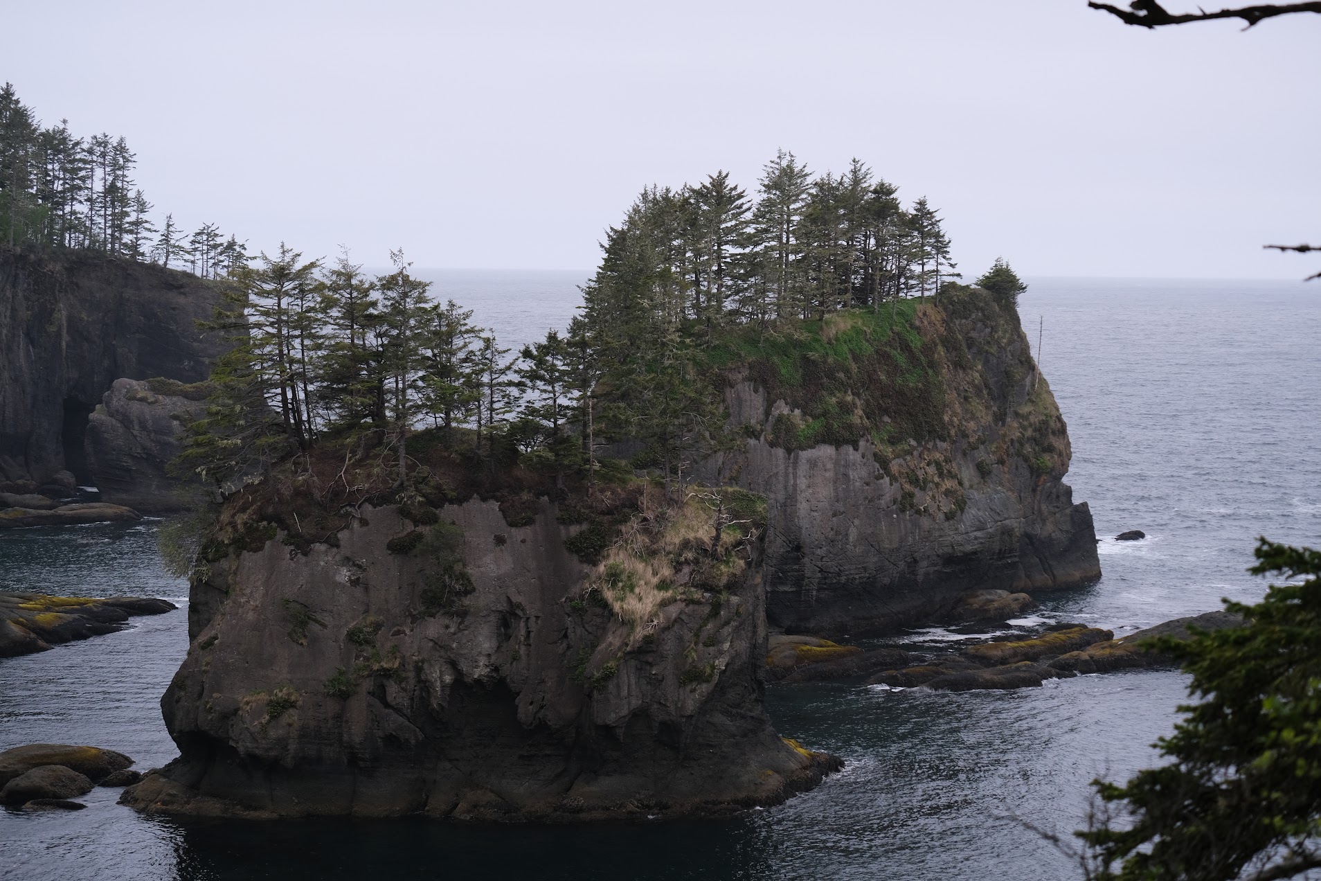 Cape Flattery Rockscape